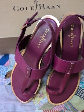 Cole Haan Pelham Strap Sandals in Winery